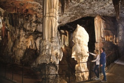 Grotten von Postojna