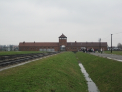Auschwitz